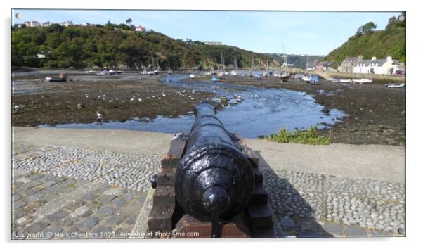 Fishguard Cannon and harbour Acrylic by Mark Chesters