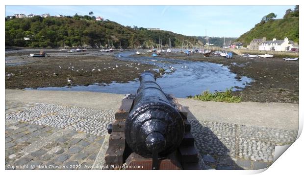 Fishguard Cannon and harbour Print by Mark Chesters