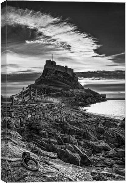 Lindisfarne castle at dawn Canvas Print by Bill Allsopp