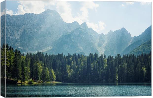 Coniferous and Alpine lake Canvas Print by Simo Wave
