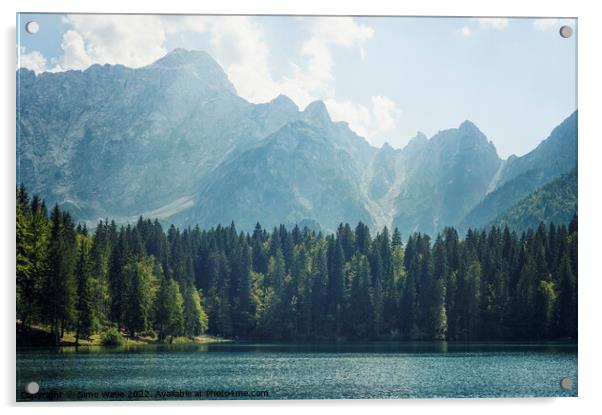 Coniferous and Alpine lake Acrylic by Simo Wave