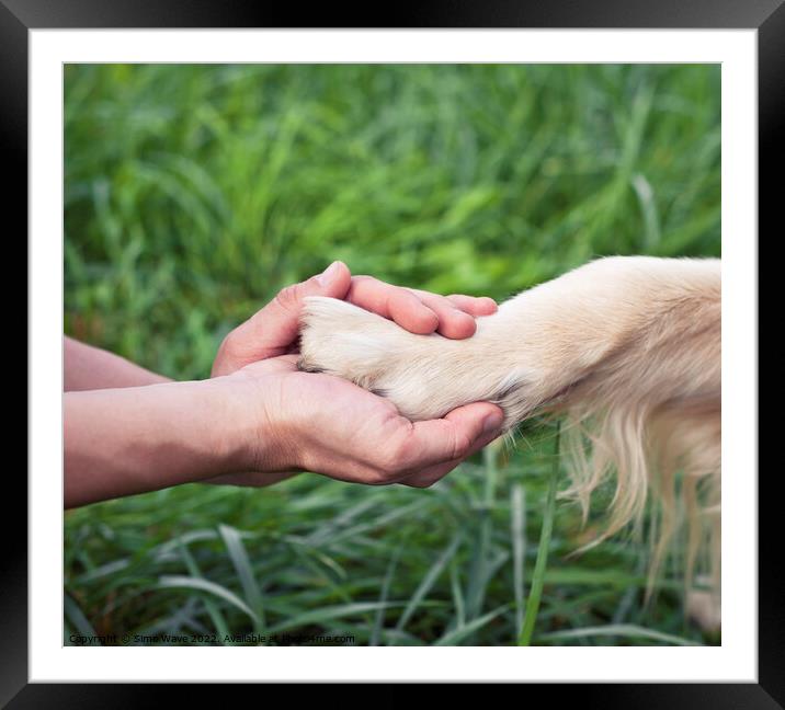 Friendship between woman and dog Framed Mounted Print by Simo Wave