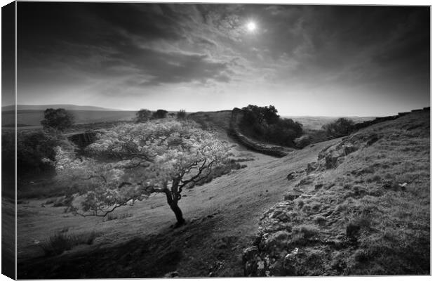 Wall at the crags. Canvas Print by Bill Allsopp
