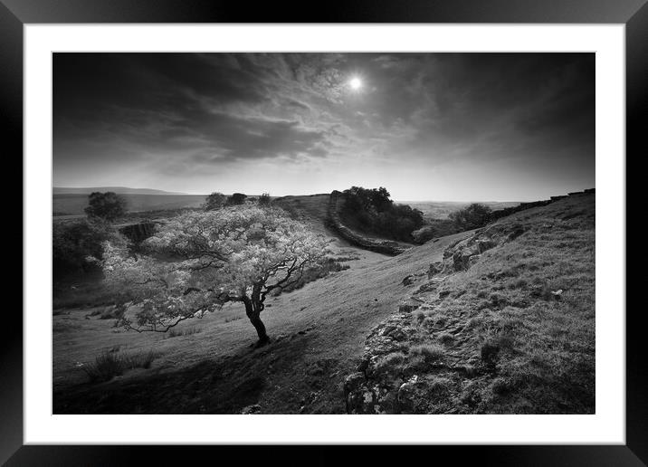 Wall at the crags. Framed Mounted Print by Bill Allsopp