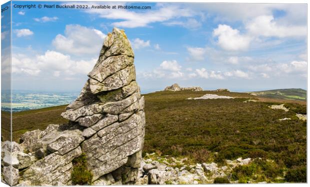 Stiperstones Outcrop Shropshire Hills Canvas Print by Pearl Bucknall
