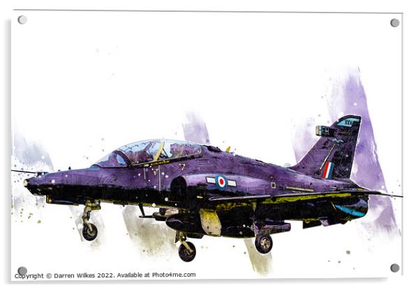 Hawk T2 Art Acrylic by Darren Wilkes
