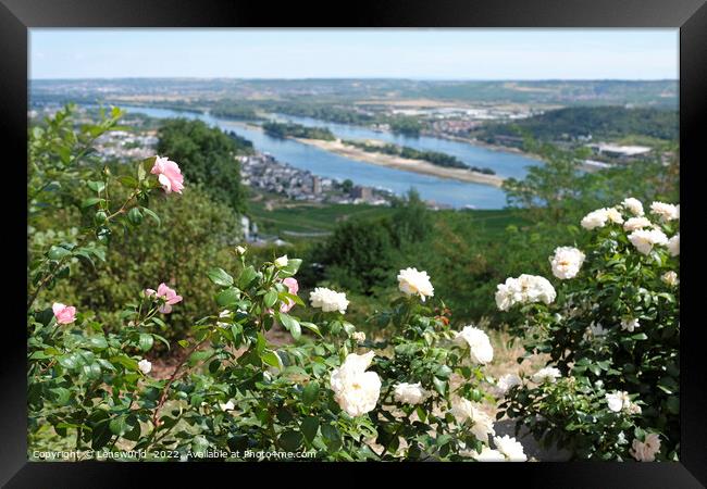 View over the vineyards in the beautiful town of Rüdesheim Framed Print by Lensw0rld 