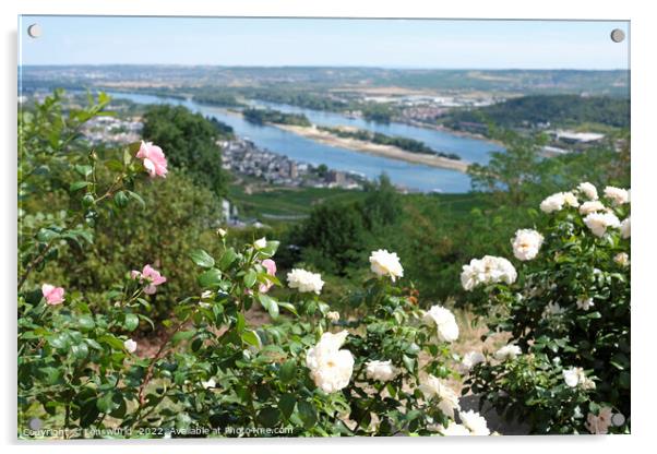 View over the vineyards in the beautiful town of Rüdesheim Acrylic by Lensw0rld 
