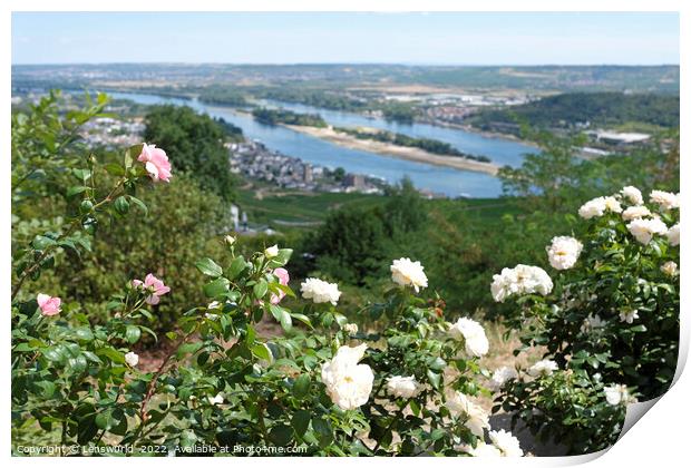 View over the vineyards in the beautiful town of Rüdesheim Print by Lensw0rld 