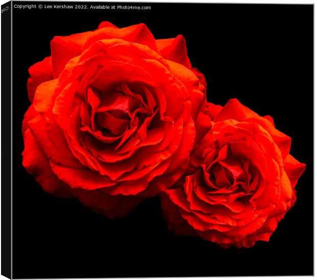 "Passionate Blooms" Canvas Print by Lee Kershaw