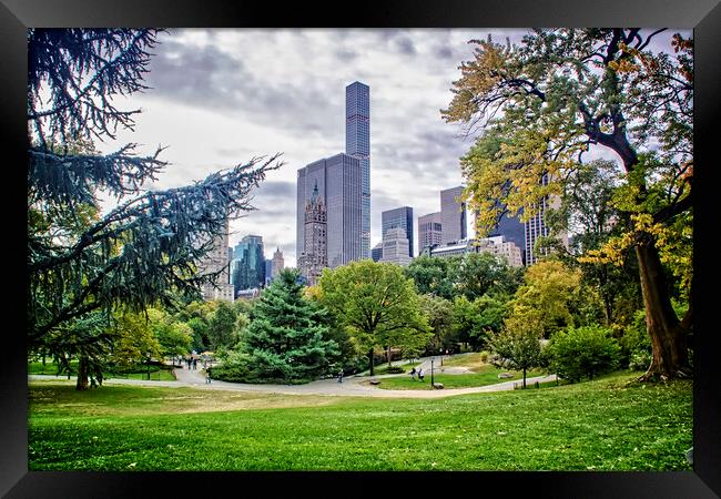 Central Park View NYC  Framed Print by Valerie Paterson