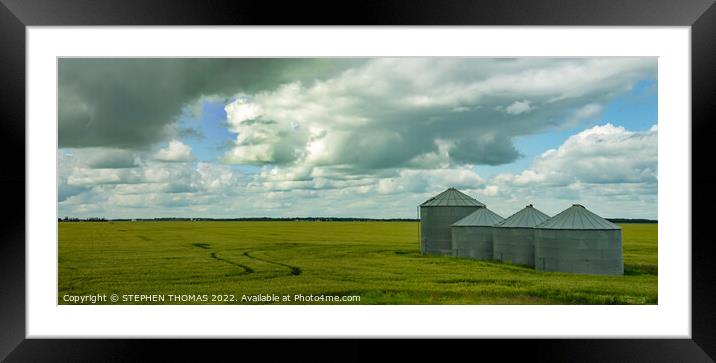 Four Grain Bins in a Wheat field- Pano Framed Mounted Print by STEPHEN THOMAS