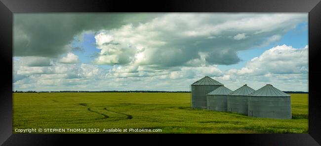Four Grain Bins in a Wheat field- Pano Framed Print by STEPHEN THOMAS