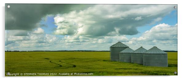 Four Grain Bins in a Wheat field- Pano Acrylic by STEPHEN THOMAS