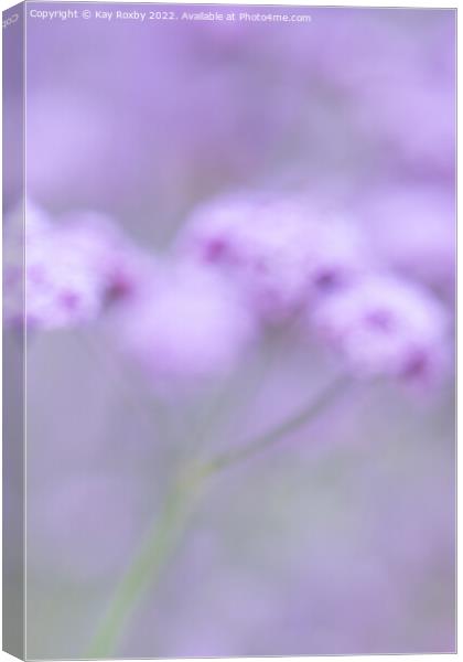 pastel purple summer flowers Canvas Print by Kay Roxby