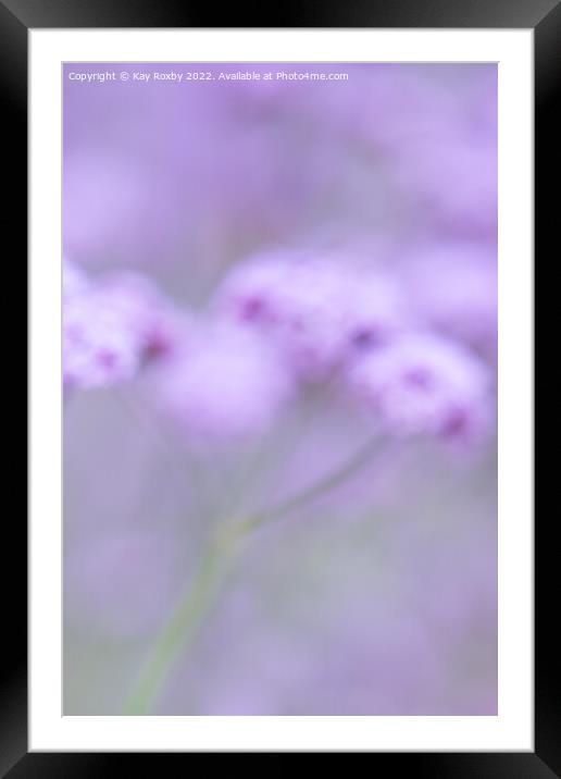 pastel purple summer flowers Framed Mounted Print by Kay Roxby