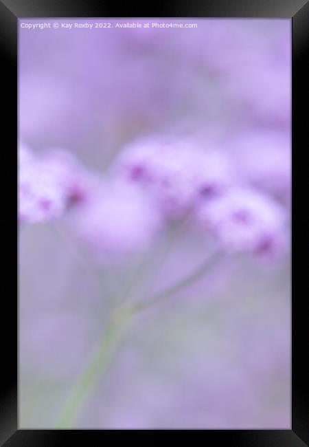 pastel purple summer flowers Framed Print by Kay Roxby