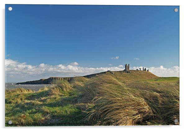 Breezy Dunstanburgh Acrylic by Colin Chipp