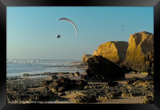 Paraplane Flying Over Gale Beach Framed Print by Angelo DeVal