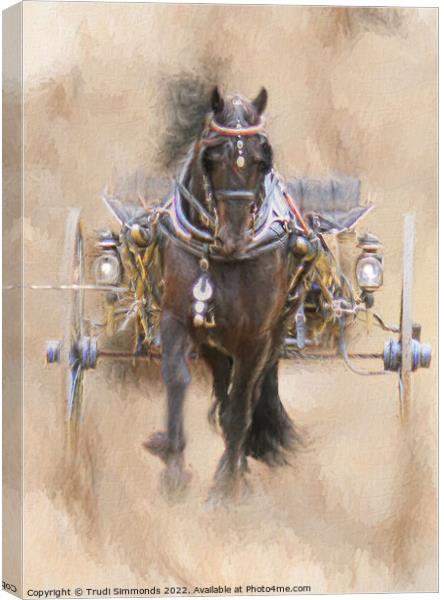 Friesian Style Canvas Print by Trudi Simmonds