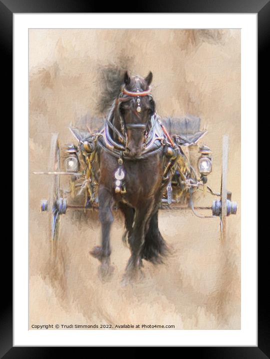 Friesian Style Framed Mounted Print by Trudi Simmonds