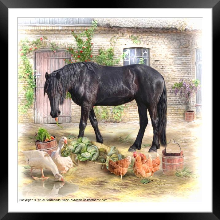 The Stable Yard Framed Mounted Print by Trudi Simmonds