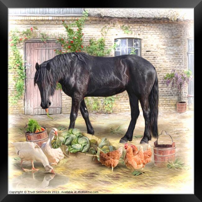 The Stable Yard Framed Print by Trudi Simmonds