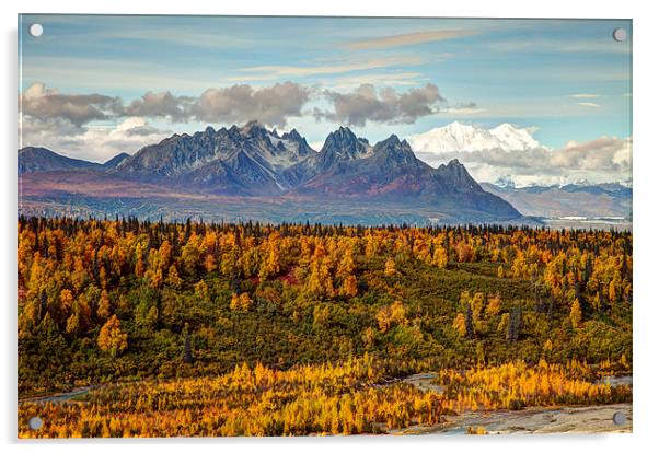 Autumn in Denali National Park Acrylic by Gail Johnson