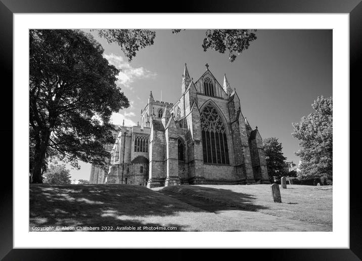 Ripon Cathedral Posterior View Monochrome  Framed Mounted Print by Alison Chambers