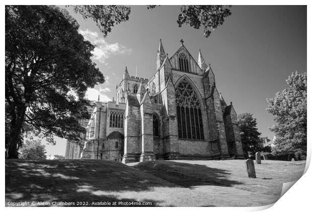 Ripon Cathedral Posterior View Monochrome  Print by Alison Chambers