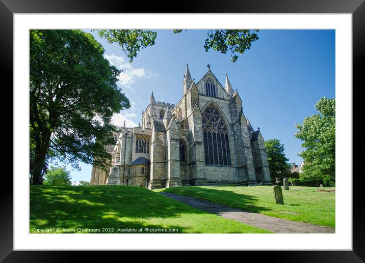 Ripon Cathedral Posterior View Colour  Framed Mounted Print by Alison Chambers