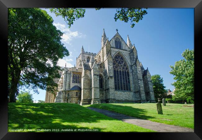 Ripon Cathedral Posterior View Colour  Framed Print by Alison Chambers