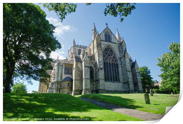 Ripon Cathedral Posterior View Colour  Print by Alison Chambers