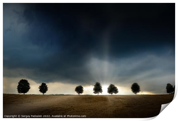 Trees during a sever thunderstorm. The sun is setting behind the storm on the horizon. The landscape is barren and dry. Print by Sergey Fedoskin