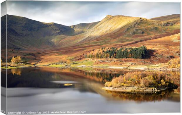 Haweswater Canvas Print by Andrew Ray