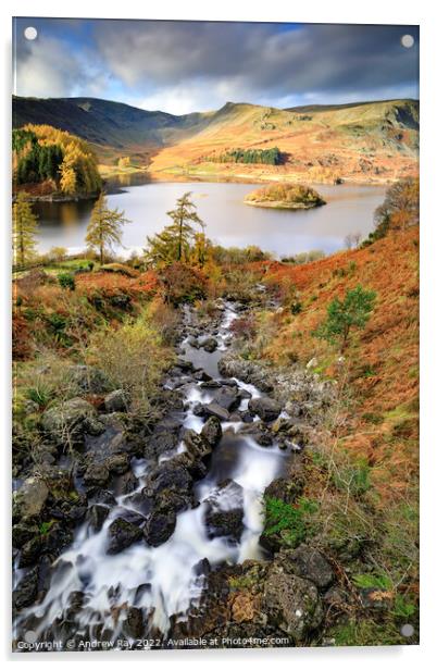 Autumn at Haweswater  Acrylic by Andrew Ray