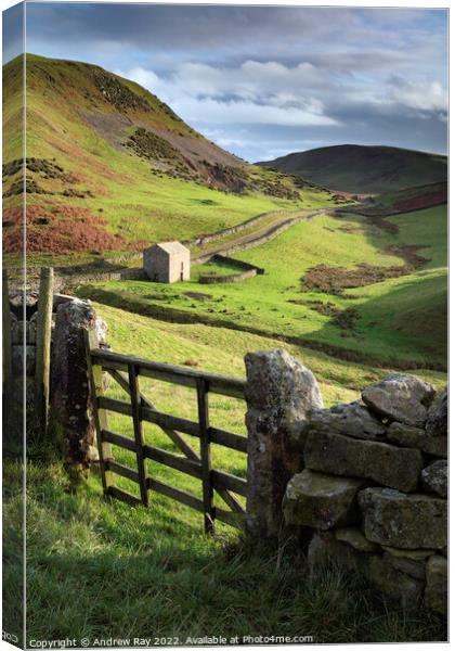 Gate view (path to High Cup Nick)  Canvas Print by Andrew Ray