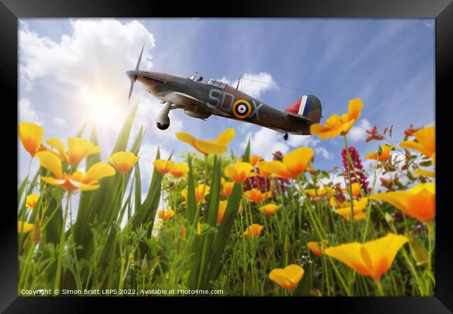 Hawker Hurricane flying over poppies in spring Framed Print by Simon Bratt LRPS