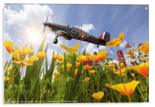 Hawker Hurricane flying over poppies in spring Acrylic by Simon Bratt LRPS