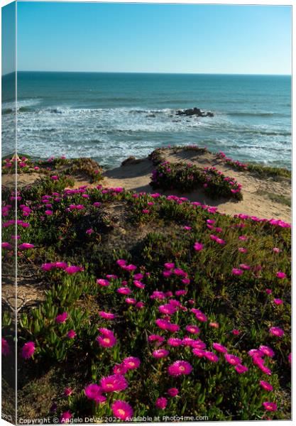 Gale Beach Cliff Flowers and Sea Canvas Print by Angelo DeVal