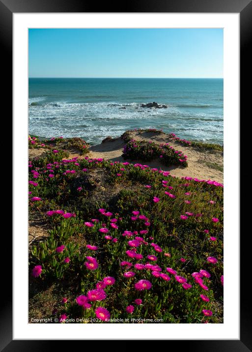 Gale Beach Cliff Flowers and Sea Framed Mounted Print by Angelo DeVal
