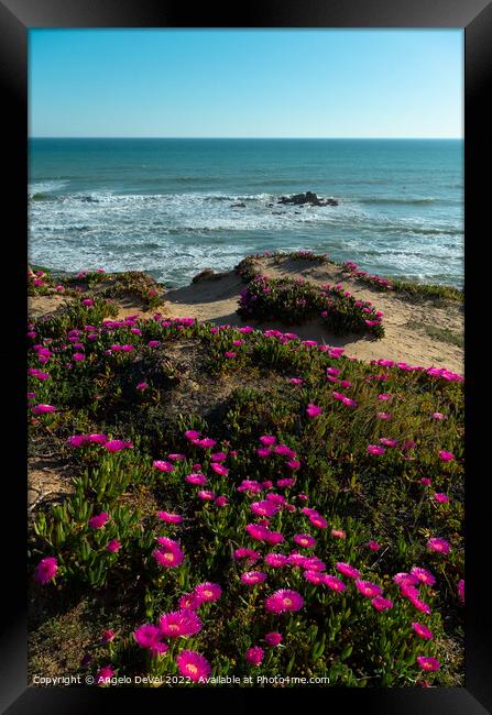 Gale Beach Cliff Flowers and Sea Framed Print by Angelo DeVal