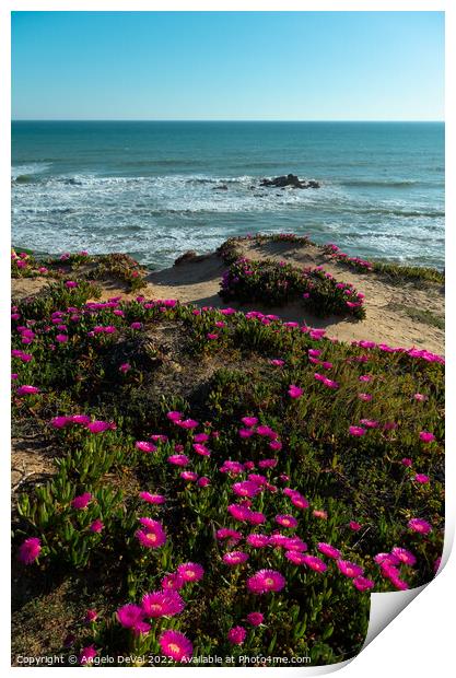 Gale Beach Cliff Flowers and Sea Print by Angelo DeVal