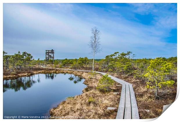 Wooden trail over swamp Print by Maria Vonotna