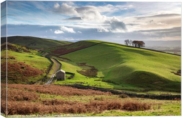 Barn in North Pennines Canvas Print by Andrew Ray