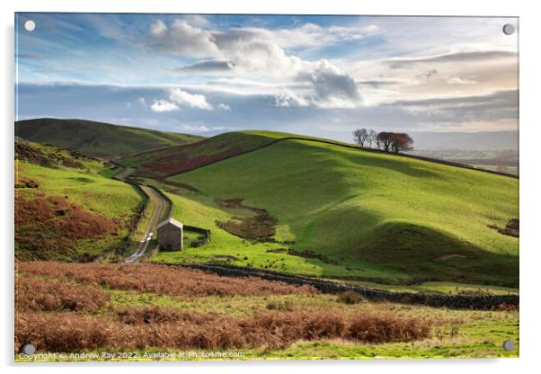 Barn in North Pennines Acrylic by Andrew Ray