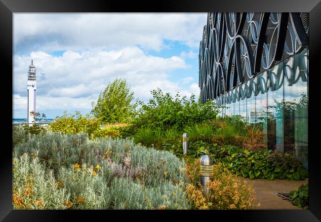 Garden in the sky. Framed Print by Bill Allsopp