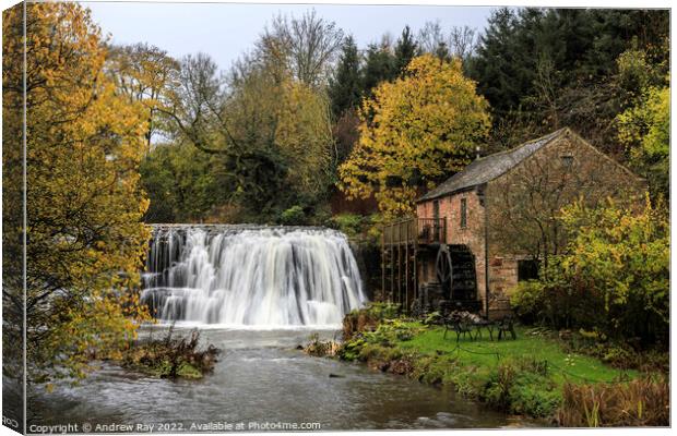Autumn at Rutter Force  Canvas Print by Andrew Ray