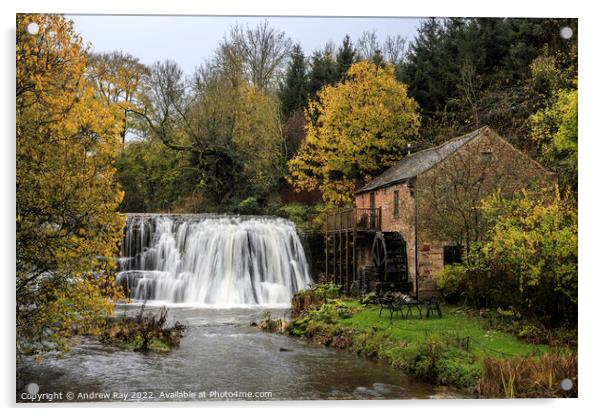 Autumn at Rutter Force  Acrylic by Andrew Ray