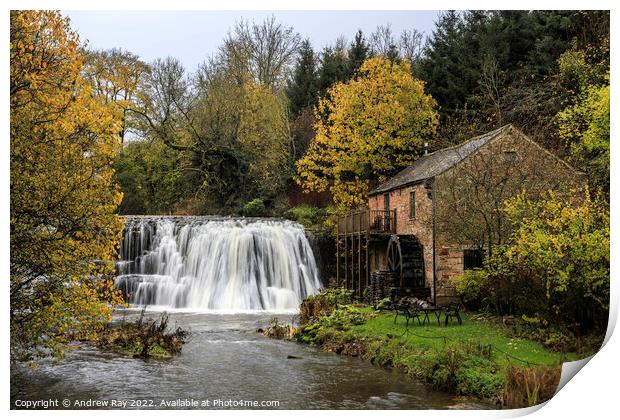 Autumn at Rutter Force  Print by Andrew Ray